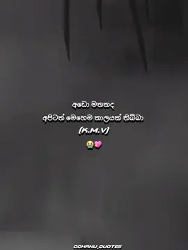 යාලුවෝ ටික mention කරන් යමු 💖 #viral #video #fyp #whatsappstatus #whatsappstatusvideo 