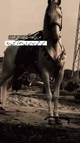 HAN G💀.      #foryoupage #viraltiktok #sultanwrite34 #millionviews #unfrezzmyaccount 