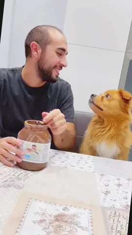Sorry 🐕😂🇺🇸#pet #funny #dog #foryou #asmr 