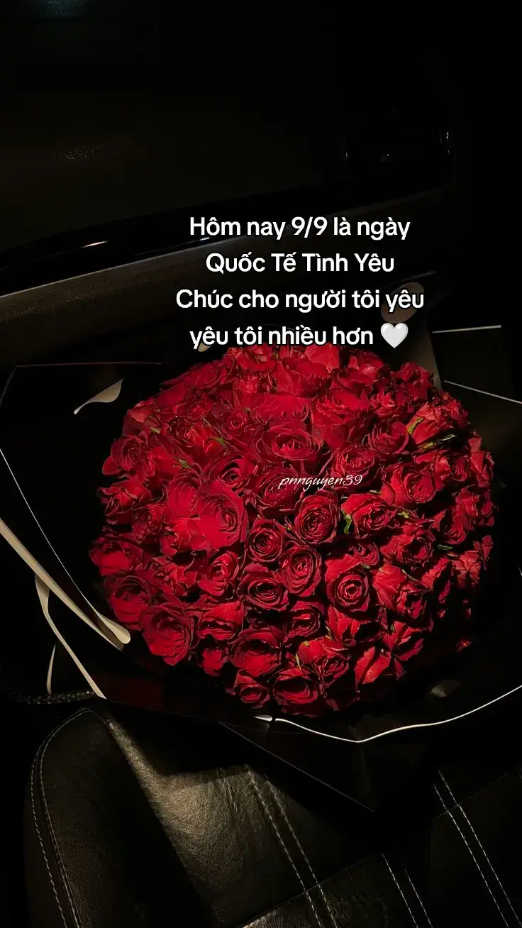 #pnnguyen39 