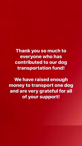 #thankyou #dogs #dog #dogsoftiktok 