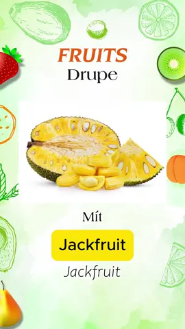 fruits #tienganh #hoctienganh #tuvungtienganh #hoctuvungtienganh #tienganhgiaotiep 