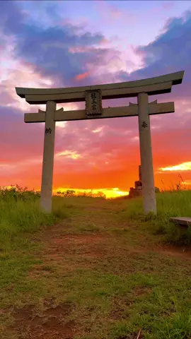 Ryuoh-gu (Okayama) / 龍王宮 Please follow 👉@japan_walker_    Please Share 🥰🙏✨ #japan #japantravel  #岡山 #倉敷 #きくkayama     