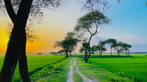 কি সুন্দর না #viral #fyp #foryoupage #natural 