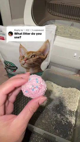 Replying to @🫧CC🫧 really happy with this litter! #bestcatlitter #catlitter #clumpinglitter 