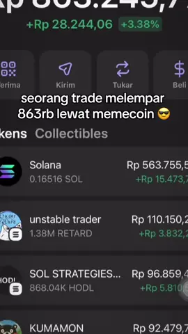 memecoin is the best #phantom #malay #solana #memecoinseason #memecoins 