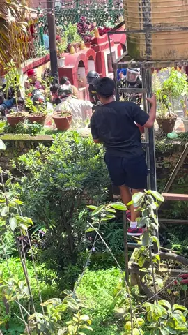 Genz at new Baneshwer galli chakubaku mandir bhitra police bite Genz👆🏻#tranding #viral?videotiktok😇😇 #balen #foryoupage #nepal 