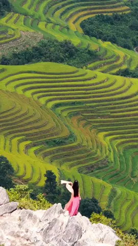 #xuhuongtiktok #vuaanmay #mucangchai 
