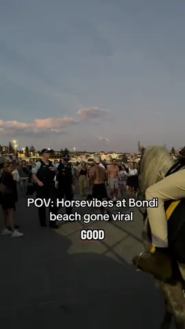 All peaceful hehehe #fyp #horsevibes #bondi #viral #boys 