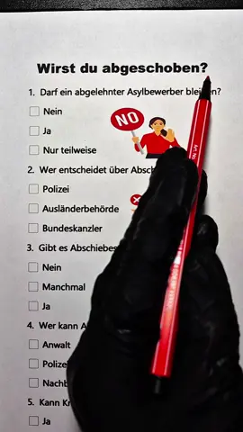 Bist du ein Abschiebeprofi? #staatsbürgerschaft #abschiebungen #afd #allgemeinwissen #einbürgerung 