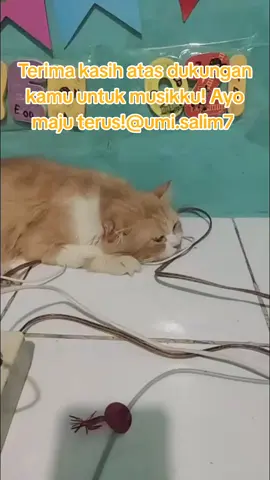Tidak ada kata yang mampu mewakilkan betapa berterima kasihnya saya kepada @umi.salim7  . oyen hanya bisa berdoa untuk umi diliputi kebahagiaan dunia dan akhirat ,Asykuruka syukran jaziilan:oyen  selalu berdoa agar rezeki umi lancar #tiktoklive #livehighlights #livegift #MusicOnStage #rockthestage 