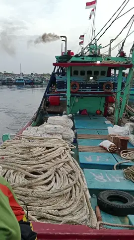 ketika sang jawara ber sabda  KM DEWANTARA grub  mr, KOSLET #cantrangtegal #fy #fyppppppppppppppppppppppp 