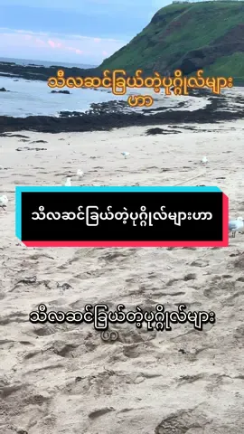 #နာယူပါမှတ်သားပါကျင့်သုံးပါ #fyp #foryou #မြန်မာtiktok😁 #foryoupage 