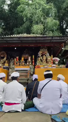 Sugra🙏 Panjak Ratu Make Sami#baliterkinii #bali #semetonmetra #taksubangli #taksu_bali 