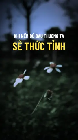 ☘️🪷Trưởng thành từ đau thương #ngộ_để_an #phatphapnhiemmau #trending #xuhuongtiktok #cliptrieuview 