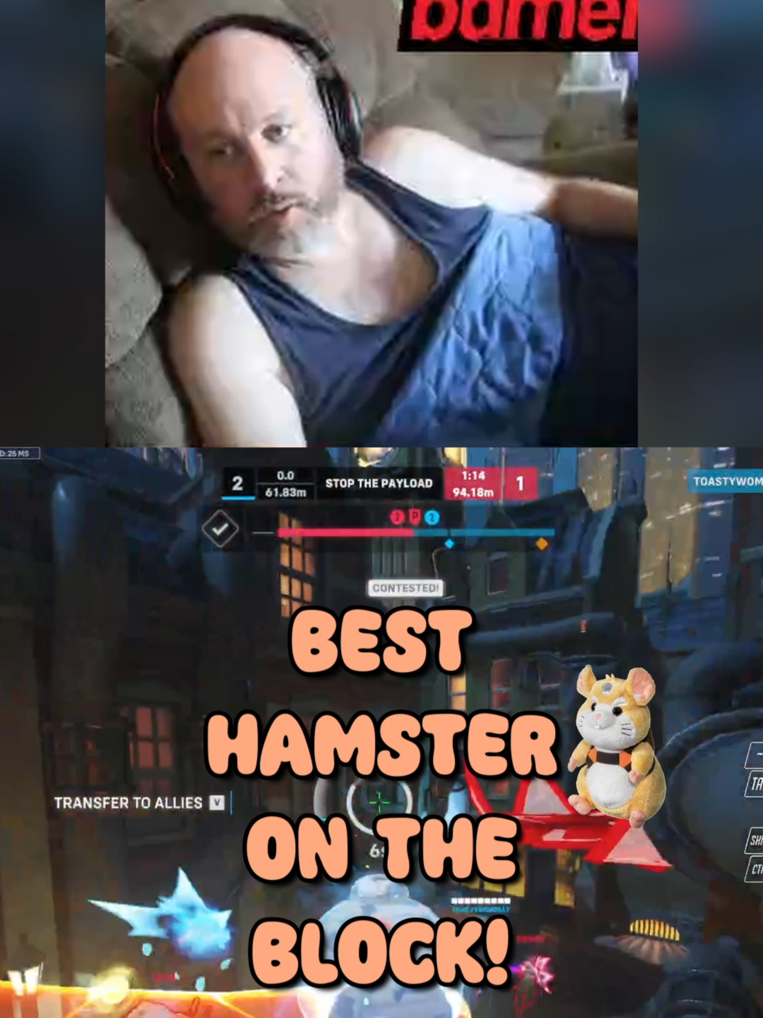 Best Hampster on the block!  #overwatch2