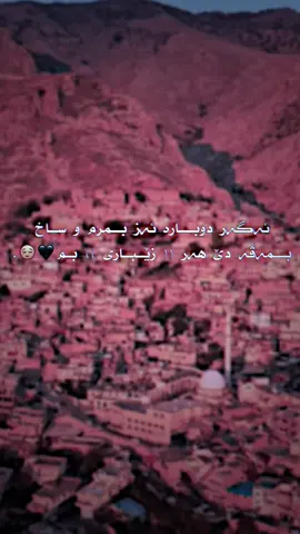 Zebari o hami dnya❤️‍🔥😌#zebari👑 #acc #akre #foryou #fyyyyyyyyyyyyyyyy 