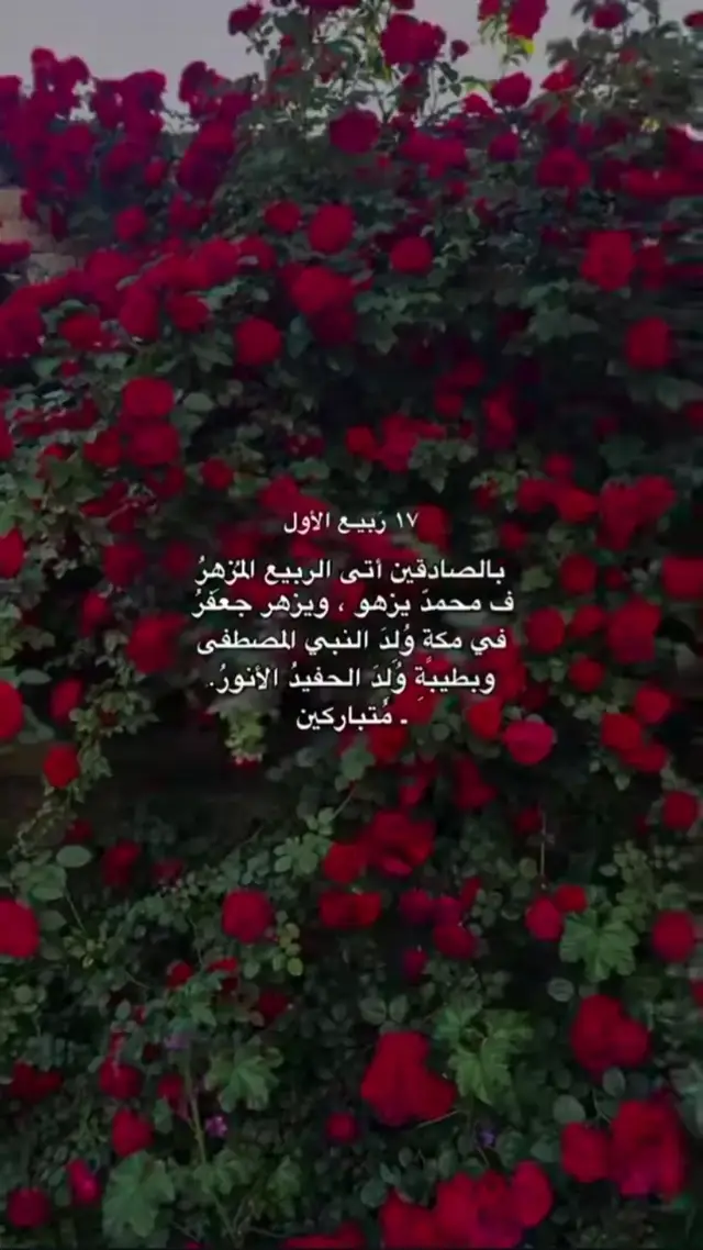 وُلِـدَ الـهُـدى فَـالكائِناتُ ضِياءُ وَفَـمُ الـزَمـانِ تَـبَـسُّـمٌ وَثَناءُ الـروحُ وَالـمَـلَأُ الـمَلائِكُ حَولَهُ لِـلـديـنِ وَالـدُنـيـا بِهِ بُشَراءُ #١٧ربيع_الأول_مولد_الرسول_الأعظم_محمد🤍  #١٧ربيع_الأول_ولادة_الإمام_الصادق  #متباركين_يا_شيعة #اللهم_صلي_على_نبينا_محمد💓🕋📿 #اللهم_صل_على_محمد_وآل_محمد 