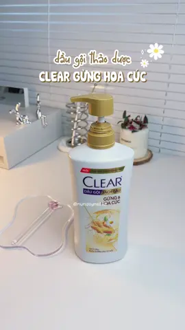 Ủ gừng cho tóc khỏe? Thôi khỏi c.ực nha mấy bà 😅 Có Clear Gừng Hoa Cúc lo hết rồi 🌿✨ #clear #cleargunghoacuc #daugoithaoduoc #daugoithiennhien #hoptaccungUnilever 