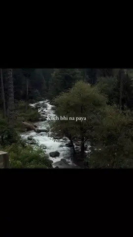 Kuch Bhi na paya Maine safar mn #fypシ゚ #fypageシ #fyppp #viral  #jenniferl143 