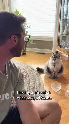 Sasha and I love our little chats. #catsoftiktok #petlover