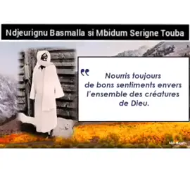 Ndiarignou Basmalah ci mbidum Serigne Touba #creatorsearchinsights 