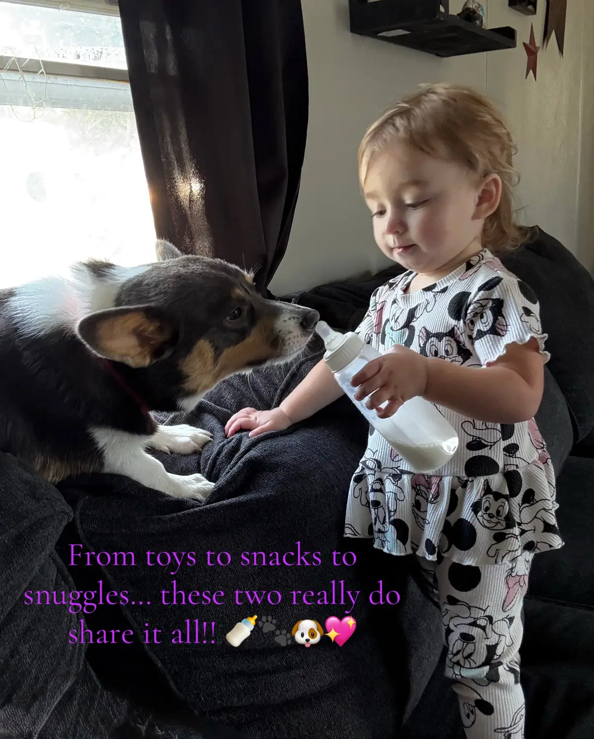Dogs and babies… pure innocence 💕 #foryou #dogs #babiesoftiktok #corgisoftiktok #foryoupage 