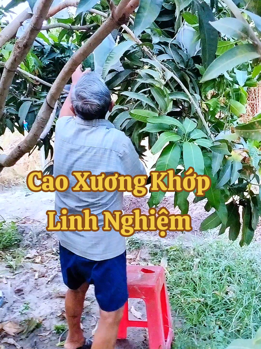 Cao Xương Khớp Linh Nghiệm  #caoxoabop #thinhhanh #viral #caoxuongkhop 