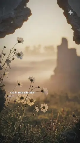 Nhật ký tình đầu #thongdiepcuocsong #story #nhachaymoingay #nhatkytinhdau #xuhuong 