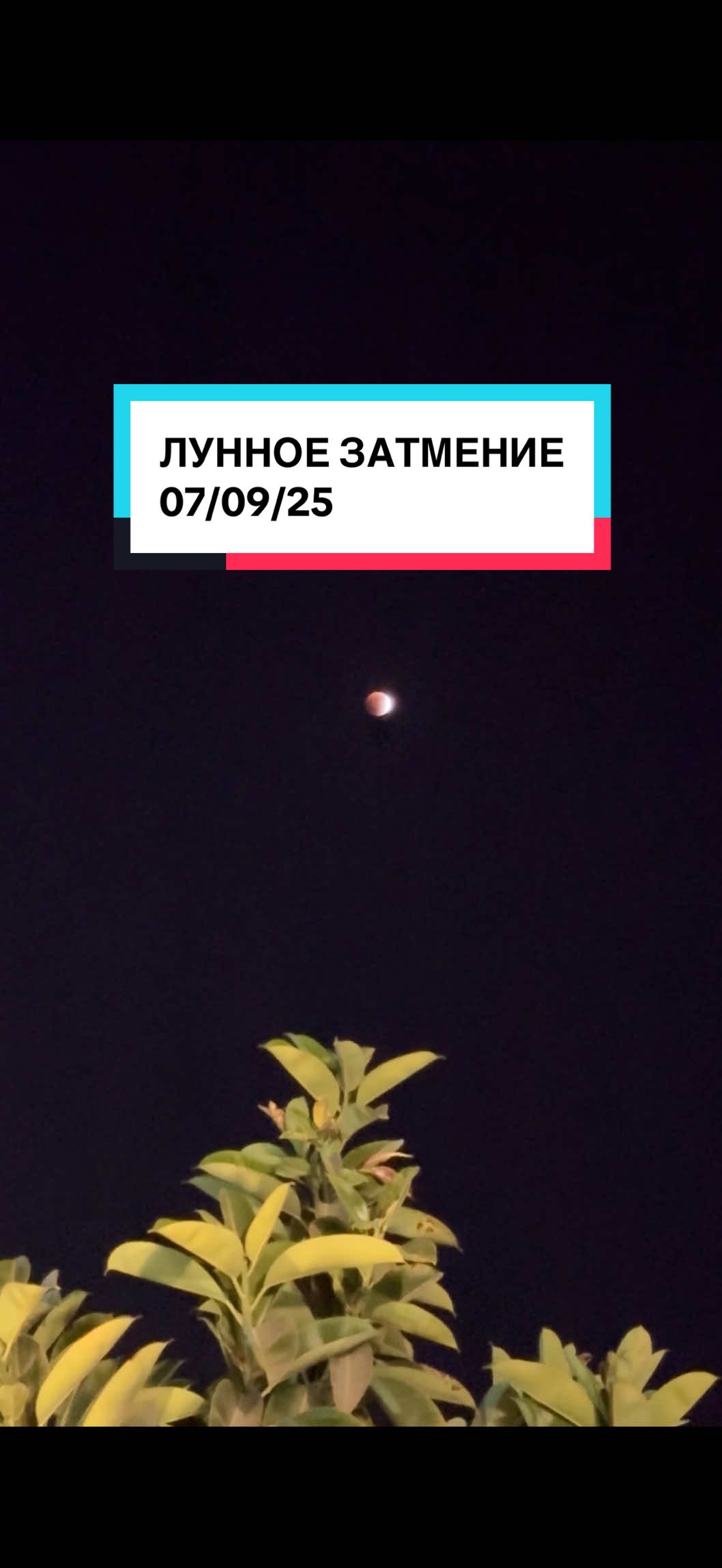 Природа - это кладезь мудрости и знаний 🌒 И наблюдать за каждым ее проявлением - великая возможность. Не упускайте ее! А для брони экскурсии - пишите в директ @Sharmelshiekh.resort  или в Телеграм  📩 @Sharmelshiekhaly  #шармэльшейх #лунноезатмение #экскурсиишармэльшейх #красноеморе #шармотпуск2025 