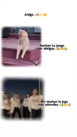 like saar😮‍💨🫶🏻💔😂#mcantoh💓👸🏻 #viewsproblem😭😭😭 #foryoupage❤️❤️ #dhereyeyyy💃 #fouryou #fyppppppppppppppppppppppppppppppppppppシ🦋