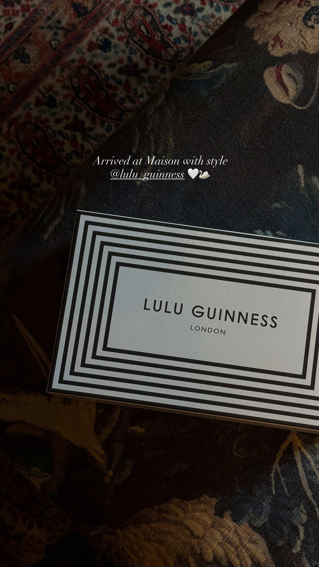 Not a clutch, a work of art @Lulu Guinness #luxurylifestyle #luxuryaesthetic #thatgirlaesthetic #autumn #londonlife 