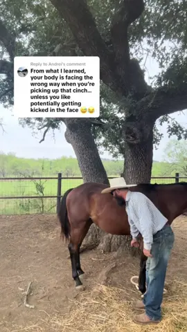 #stitch with @Reed Sykes #horses #aqha #horsetrainer #horsetraining 