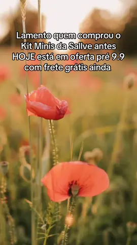 #sallve #autocuidado #autoestima #dicasdebeleza #achadinhostiktok 