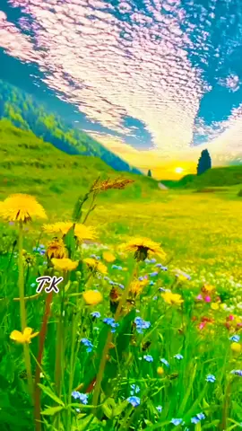 #illaiyarajamusic #spbalasubrahmanyam #tamilsong #naanaganaanillaithaye 