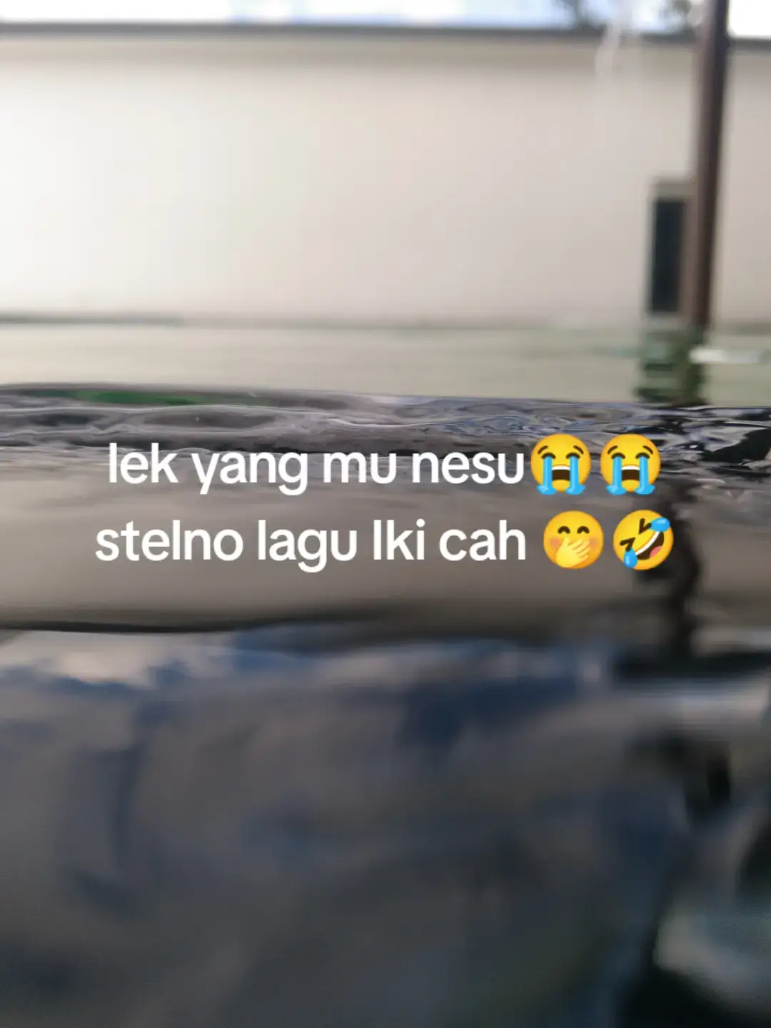 yang lupa lirik aslinya komen ya🤭🤭 #xbcafypシ #fyp #banturamaikan🙏 #fypシ゚ 