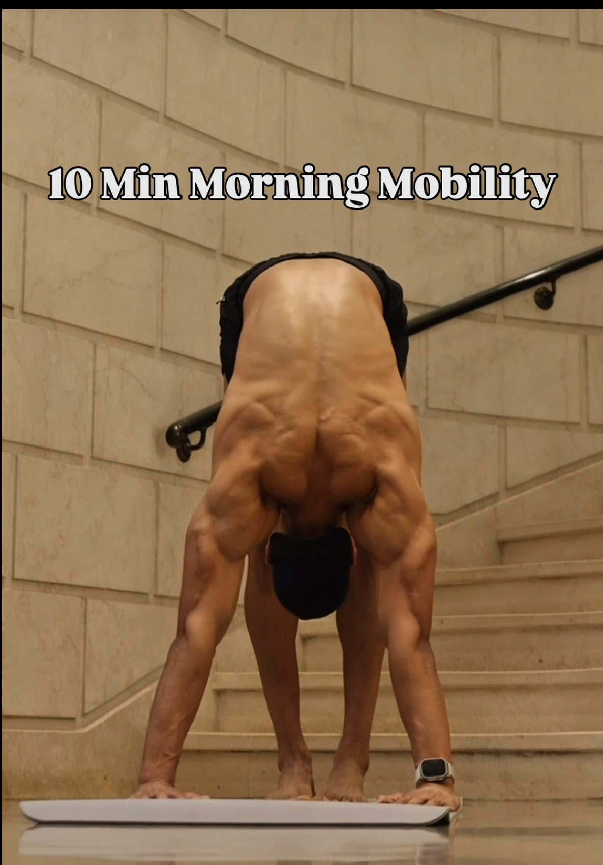10 Min Morning Mobility Pt 11 - Get Loose and Limber for the day Circuit 1 (5 mins) : 1. Kneeling Spine Flexion + Extension - 1 min 2. Close Stance Downward Dog - 1 min 3. 2 Upward Dog + 2 Alternating Scorpion (flow) - 2 mins 4.Cat Cow - 1 min Circuit 2 (5 mins): 1. Seated Neck Rolls (Clockwise + Anti-Clockwise) - 1 min (30s each direction) 2. Kneedle + Thread (per side) - 2 mins (1 min each side) 3. Seated Hip Opener - 2 mins OWN THE DAY