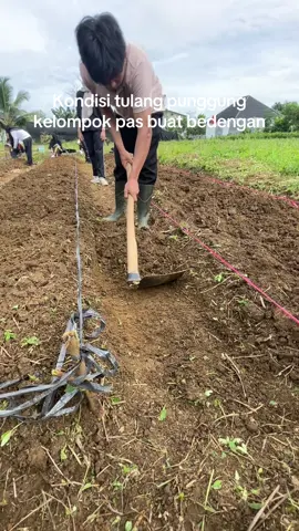 Sabar yaa #agroekoteknologiunand #pertanian #fapertaunand #bedengan #fyp @𝗜'𝗺 𝗬𝗮𝘆𝗮𝗻 