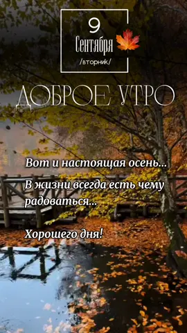 #доброеутро 