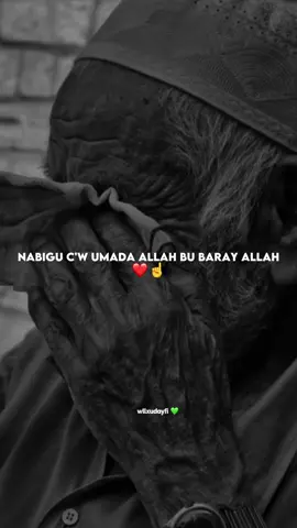 allaah allaah 🥹 #sheekh_xusen_cali_jabuti #kusali_rusul_kena_muxamed_scw #muxaadaro #wacdi_iyo_waano #allahuakbar 