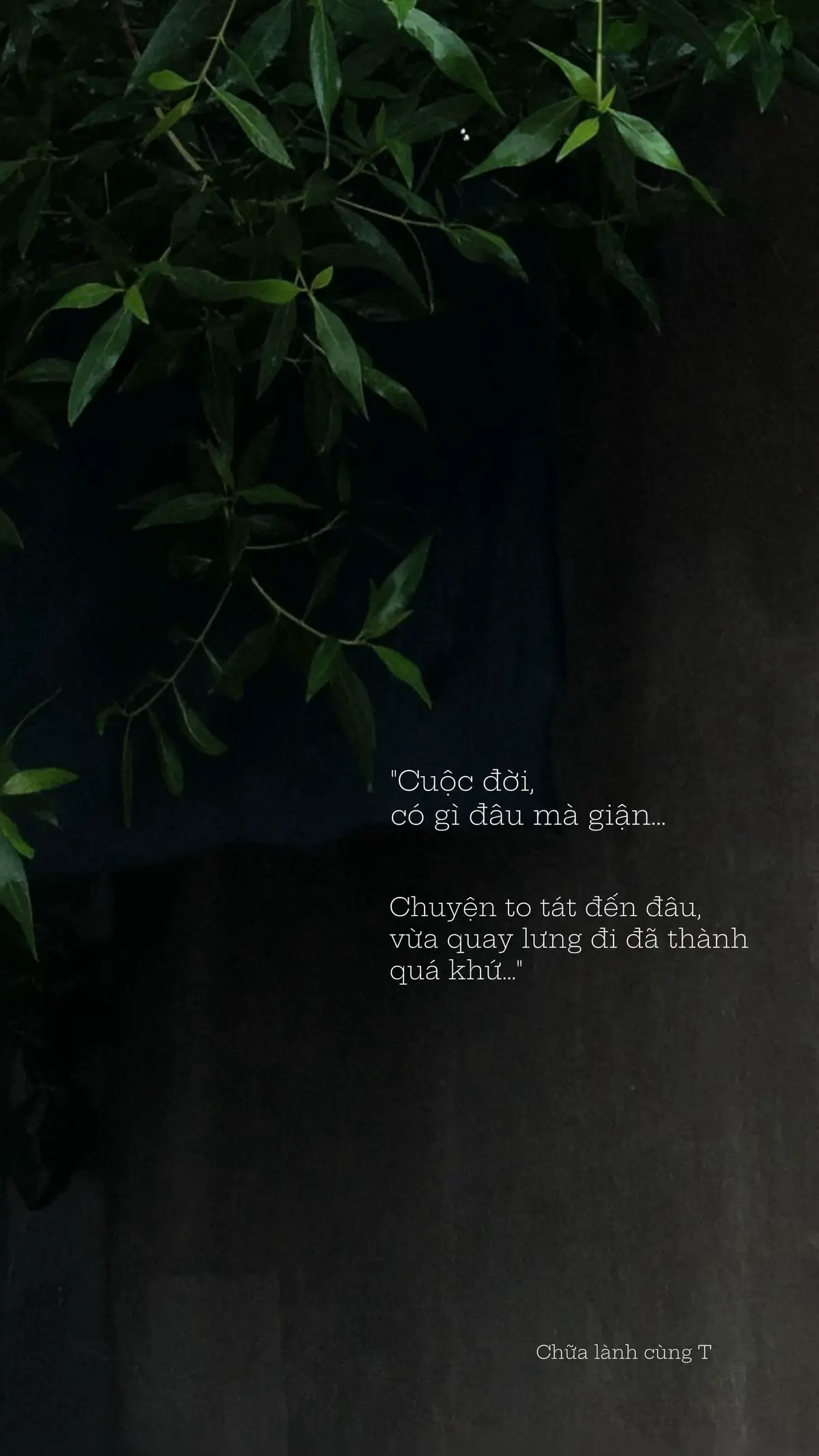 #st #tamtrang #foryou #chualanh #fyp 