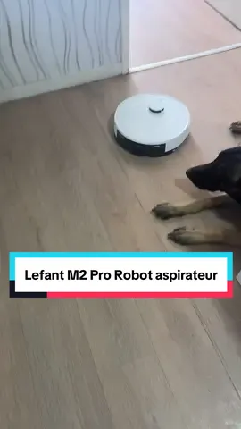 Lefant M2 Pro Robot aspirateur