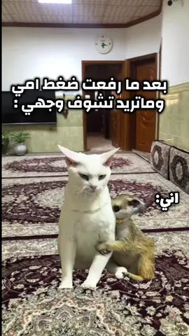 اميي ثم امي الحد اخر يوم بعمري #الام #foryoupage #foryou #viral #viralvideo 