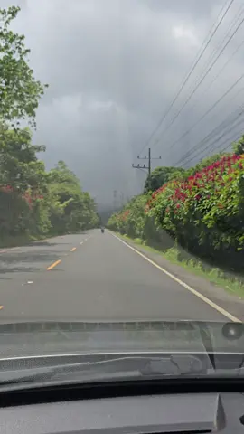 Ruta de Las Flores, El Salvador 