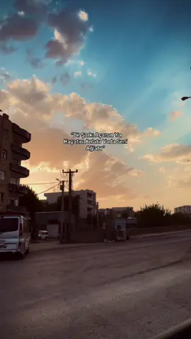 #cizre #yetmişüç #storilikvideolar 