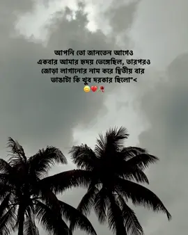 - আপনি তো জানতেন আগেও একবার আমার হৃদয় ভেঙ্গেছিল, তারপরও জোড়া লাগানোর নাম করে দ্বিতীয় বার ভাঙাটা কি খুব দরকার ছিলো