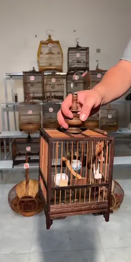Sắm ngay Lồng Chim Khuyên gỗ mun! Đầy đủ phụ kiện xịn, dầu chống mọt, giá tốt nhất hôm nay, về là chơi ngay!