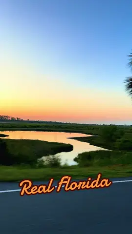 The Real Florida! #beautifull #sunrise #sun #palmtrees #florida 