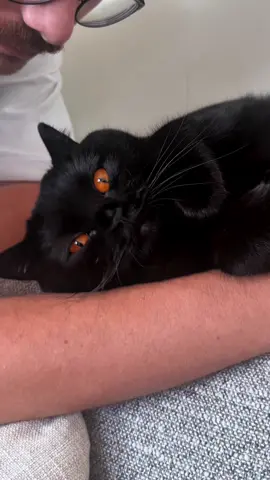 I’m so ready for autumnal afternoons on the sofa 🍂 #pumpkinspice #fall #blackcat #voidcat 