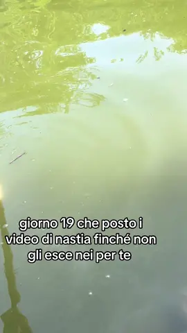 #giorno19#pira#lago#pesci#virale
